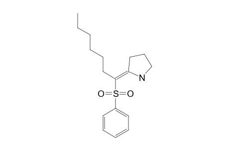 2-(1-PHENYLSULFONYLHEPTYLIDENE)-PYRROLIDINE