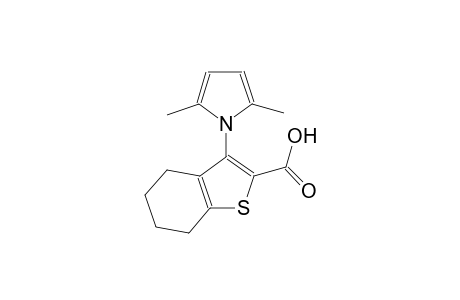 3-(2,5-dimethyl-1H-pyrrol-1-yl)-4,5,6,7-tetrahydro-1-benzothiophene-2-carboxylic acid
