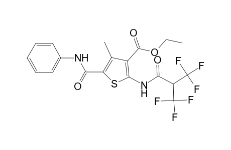 4-Methyl-5-(phenylcarbamoyl)-2-[[3,3,3-trifluoro-2-(trifluoromethyl)propanoyl]amino]thiophene-3-carboxylic acid ethyl ester