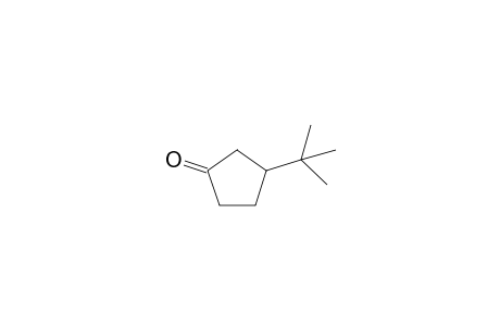 3-tert-Butyl-1-cyclopentanone