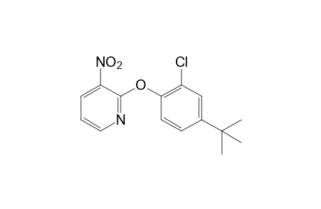 2-(4-tert-butyl-2-chlorophenoxy)-3-nitropyridine