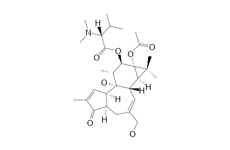 N,N-DIMETHYL-12-(R-VALINOYL)-13-ACETYL-4-ALPHA-4-DEOXYPHORBOL