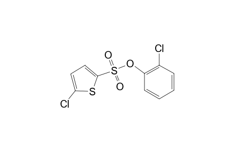 5-Chlorothiophene-2-sulfonic acid, 2-chlorophenyl ester