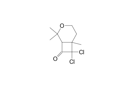 3-Oxabicyclo[4.2.0]octan-8-one, 7,7-dichloro-2,2,6-trimethyl-