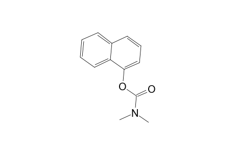 Carbamic acid, dimethyl-, 1-naphthalenyl ester