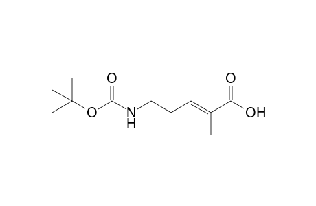 (trans)-5-[(t-Butoxycarbonyl)amino]-2-methyl-2-pentenoic acid