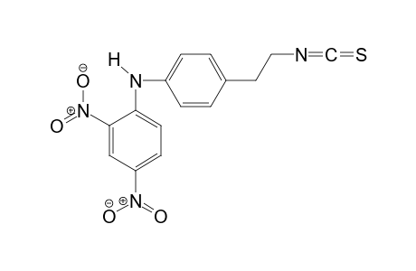 N-(4-(2-Aminoethyl)phenyl)-2,4-dinitroaniline isothiocyanate