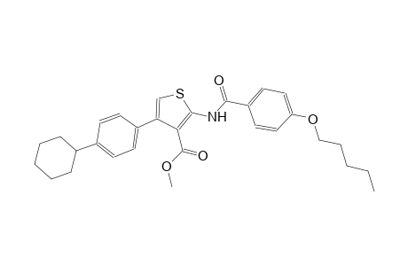 methyl 4-(4-cyclohexylphenyl)-2-{[4-(pentyloxy)benzoyl]amino}-3-thiophenecarboxylate