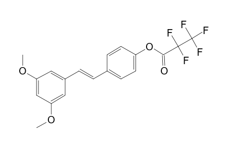 Pterostilbene, o-pentafluoropropionyl-