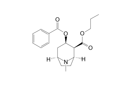 O-Benzoylecgonine propyl ester