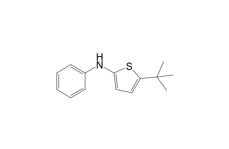 (5-tert-butyl-2-thienyl)-phenyl-amine