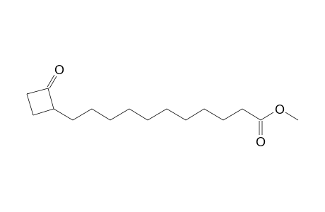methyl 11-(2-oxocyclobutyl)undecanoate