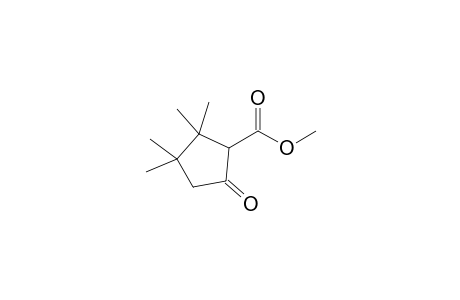 2,2,3,3-tetramethyl-5-oxo-1-cyclopentanecarboxylic acid methyl ester