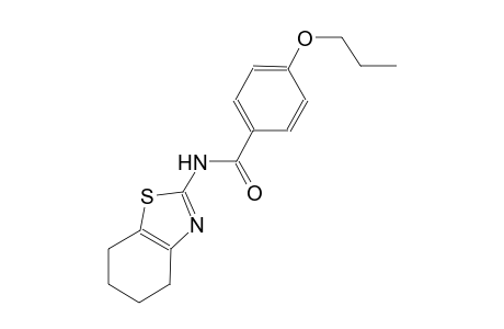 4-propoxy-N-(4,5,6,7-tetrahydro-1,3-benzothiazol-2-yl)benzamide