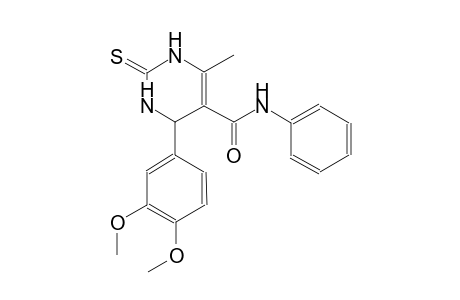 4-(3,4-dimethoxyphenyl)-6-methyl-N-phenyl-2-thioxo-1,2,3,4-tetrahydro-5-pyrimidinecarboxamide