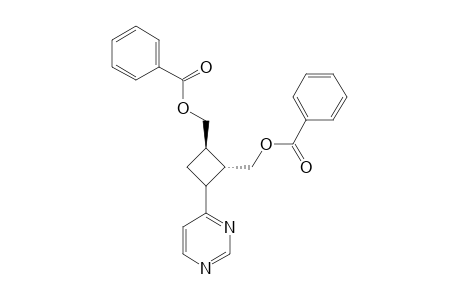 4-[2,3-BIS-(BENZOYLOXYMETHYL)-CYCLOBUTYL]-PYRIMIDINE