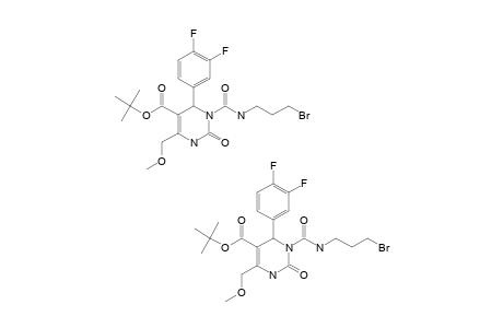 TERT.-BUTYL-3-[(3-BROMOPROPYL)-CARBAMOYL]-4-(3,4-DIFLUOROPHENYL)-6-(METHOXYMETHYL)-2-OXO-1,2,3,4-TETRAHYDRO-PYRIMIDINE-5-CARBOXYLATE