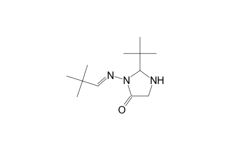 2-t-Butyl-3-(2,2-dimethylpropylideneamino)imidazolidin-4-one