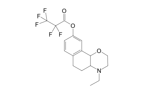 PFP-acyl derivative of IS