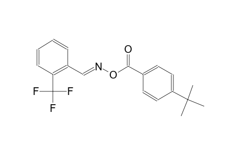 2-(trifluoromethyl)benzaldehyde O-(4-tert-butylbenzoyl)oxime
