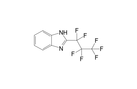 2-Heptafluoropropyl-1H-benzoimidazole