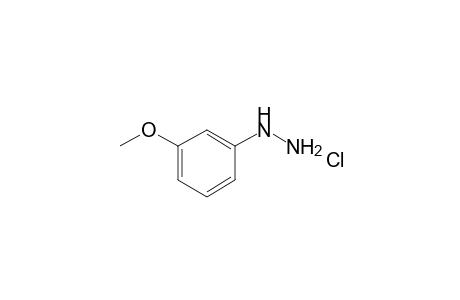 (3-Methoxyphenyl)diazane monohydrochloride