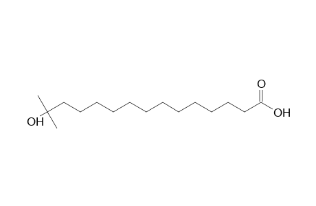 14-Hydroxy-14-methylpentadecanoic acid
