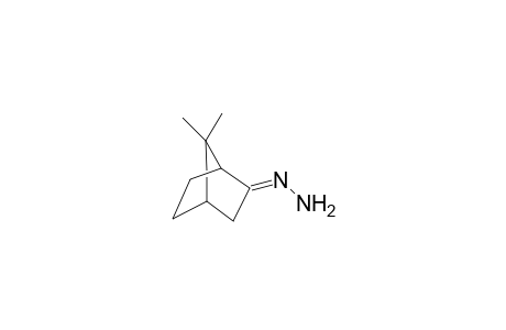 (-)-Fenchocamphorone hydrazone