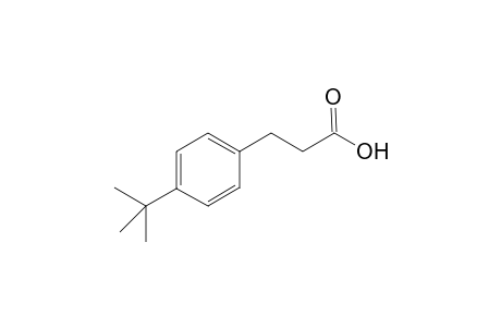 Bourgeonal acid