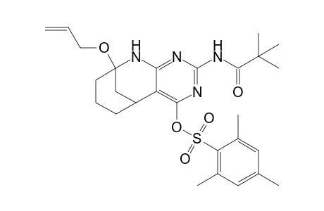 2-Pivaloylamino-9-allyloxy-4-(2',4',6'-trimethylbenzeneesulfonyloxy)-5,6,7,8,9,10-hexahydro-5,9-methanopyrimido[4,5-b]azocine