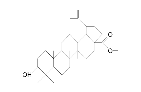 Betulic acid, methyl ester