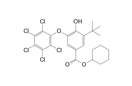 3-tert-butyl-4-hydroxy-5-(pentachlorophenoxy)benzoic acid, cyclohexyl ester