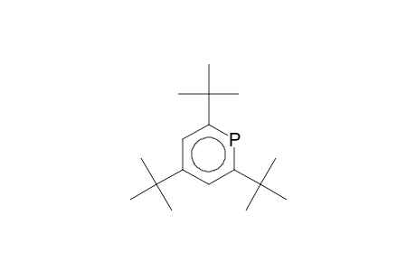 2,4,6-Tritert-butylphosphinine