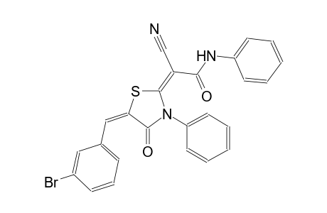 (2E)-2-[(5E)-5-(3-bromobenzylidene)-4-oxo-3-phenyl-1,3-thiazolidin-2-ylidene]-2-cyano-N-phenylethanamide