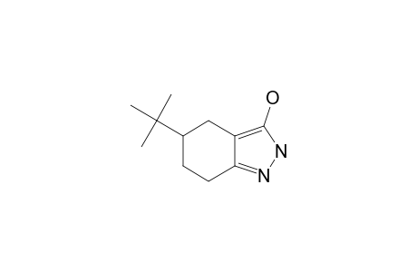 5-TERT.-BUTYL-4,5,6,7-TETRAHYDRO-2H-INDAZOL-3(3AH)-ONE