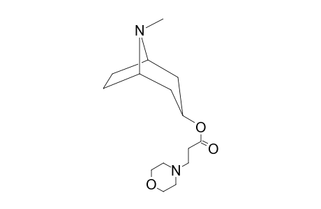 8-Methyl-8-azabicyclo[3.2.1]oct-3-yl 3-(4-morpholinyl)propanoate