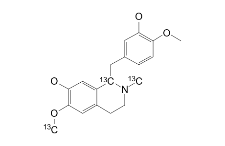 (S/R)-[1-(13)C,6-O-(13)CH3,N-(13)CH3-RETICULINE