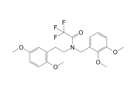 N-(2,3-dimethoxybenzyl)-N-(2,5-dimethoxyphenethyl)-2,2,2-trifluoroacetamide
