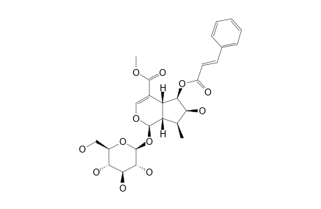 6-O-trans-CINNAMOYL-6B-HYDROXYLOGANIN