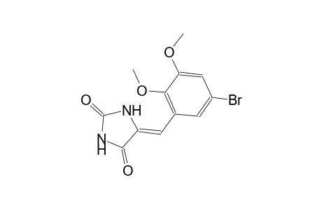 (5Z)-5-(5-bromo-2,3-dimethoxybenzylidene)-2,4-imidazolidinedione