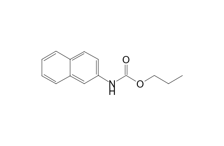 propyl (naphthalene-2-yl)carbamate