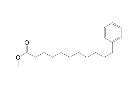 Methyl 11-Phenylundecanoate