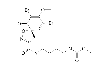 APLYSINA-METABOLITE-14;METHYL-4-[(5S,10R)-7,9-DIBROMO-10-HYDROXY-8-METHOXY-1-OXA-2-AZASPIRO-[4.5]-DECA-2,6,8-TRIENECARBOXAMIDO]-BUTYLCARBAMATE