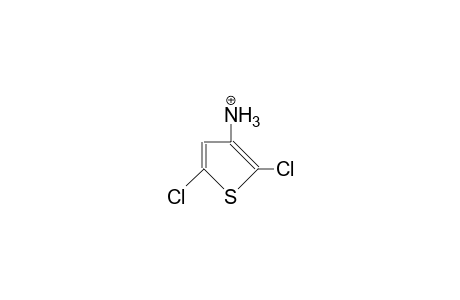 3-Ammonio-2,5-dichloro-thiophene