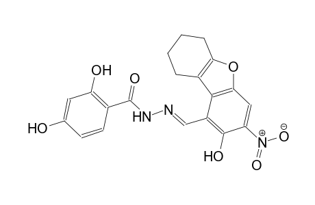 2,4-dihydroxy-N'-[(E)-(2-hydroxy-3-nitro-6,7,8,9-tetrahydrodibenzo[b,d]furan-1-yl)methylidene]benzohydrazide