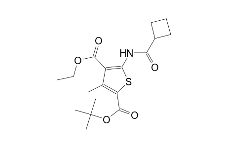 2-tert-butyl 4-ethyl 5-[(cyclobutylcarbonyl)amino]-3-methyl-2,4-thiophenedicarboxylate