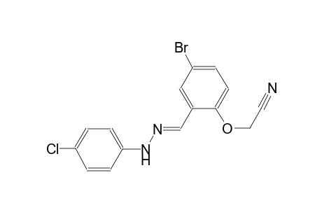 (4-bromo-2-{(E)-[(4-chlorophenyl)hydrazono]methyl}phenoxy)acetonitrile
