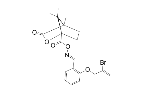 2-(2-BROMOALLYLOXY)-BENZALDEHYDE-O-CAMPHANIC-OXIME