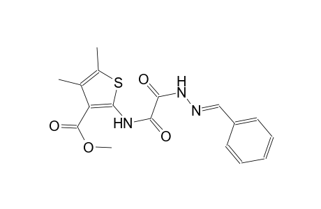 methyl 2-{[[(2E)-2-benzylidenehydrazino](oxo)acetyl]amino}-4,5-dimethyl-3-thiophenecarboxylate