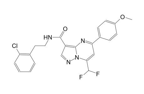 N-[2-(2-chlorophenyl)ethyl]-7-(difluoromethyl)-5-(4-methoxyphenyl)pyrazolo[1,5-a]pyrimidine-3-carboxamide